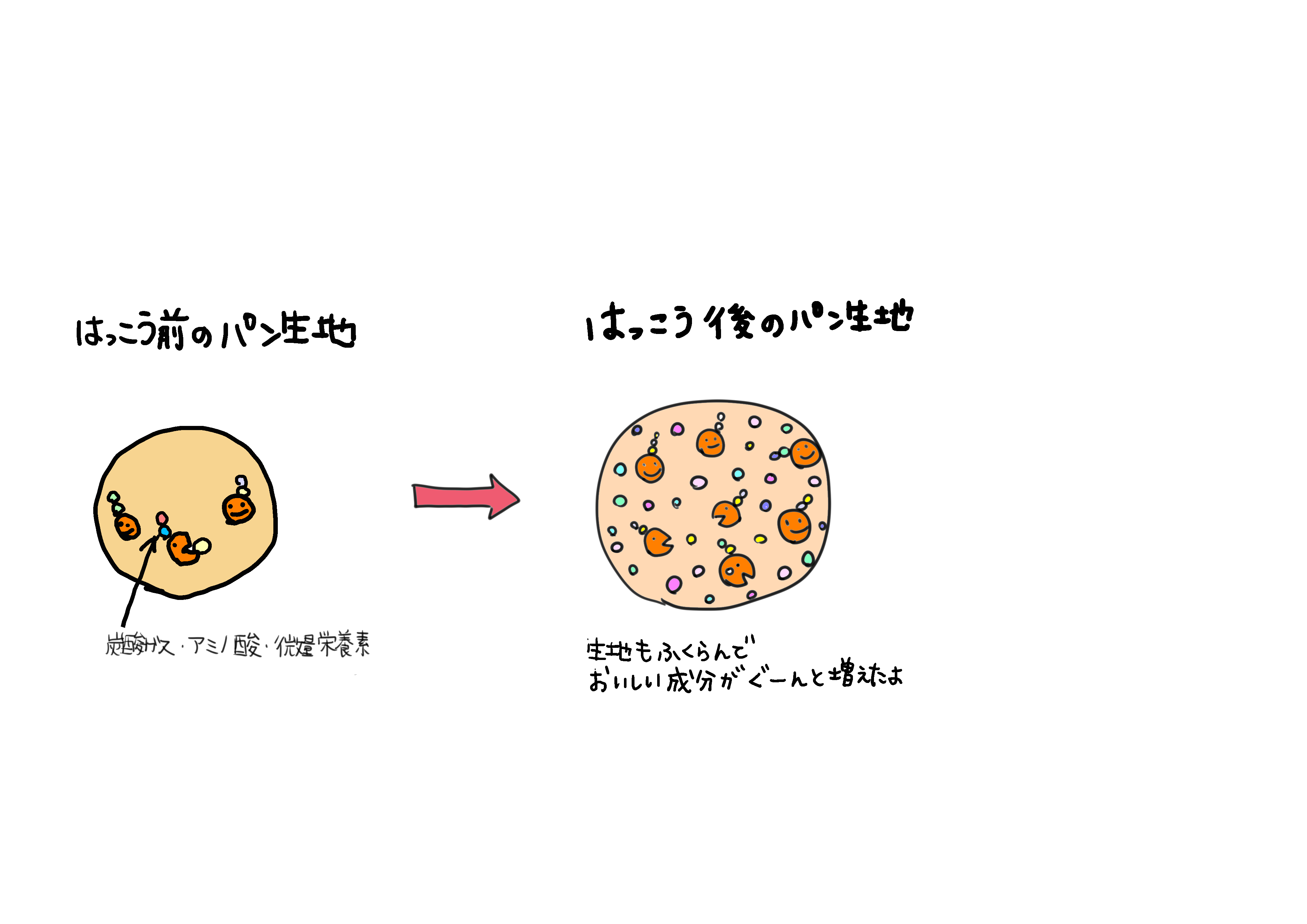 0以上 アミノ酸 イラスト 無料イラスト素材 かわいいフリー素材 素材のプ